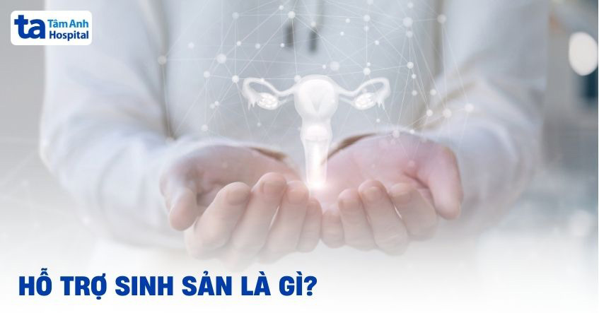 Luận giải chi tiết giấc mơ đổ mồ hôi tay theo từng trường hợp  Giấc mơ có nhiều biến thể khác nhau, mỗi biến thể lại mang một ý nghĩa riêng. Khám phá ý nghĩa của giấc mơ đổ mồ hôi tay khi bạn đổ mồ hôi tay phải, tay trái, cả hai tay, hay khi bạn thấy người khác đổ mồ hôi tay.