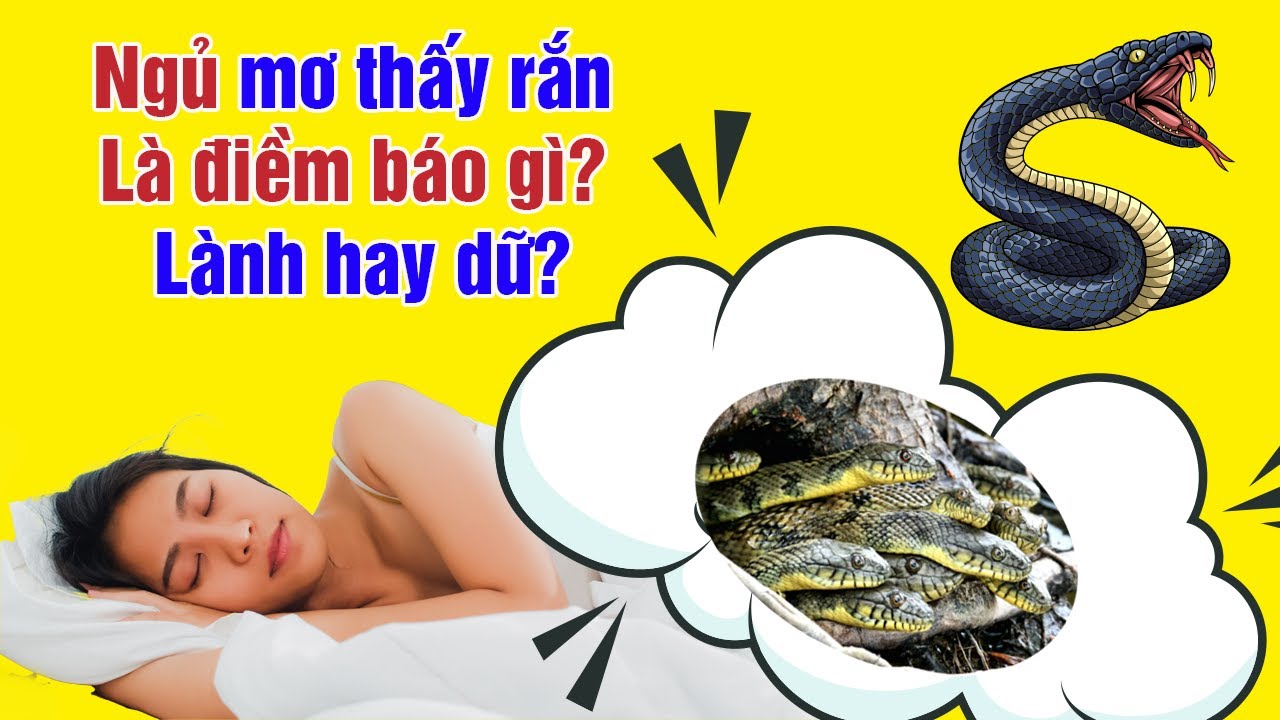 Giải mã giấc mơ thấy rắn: Điềm báo lành hay dữ?