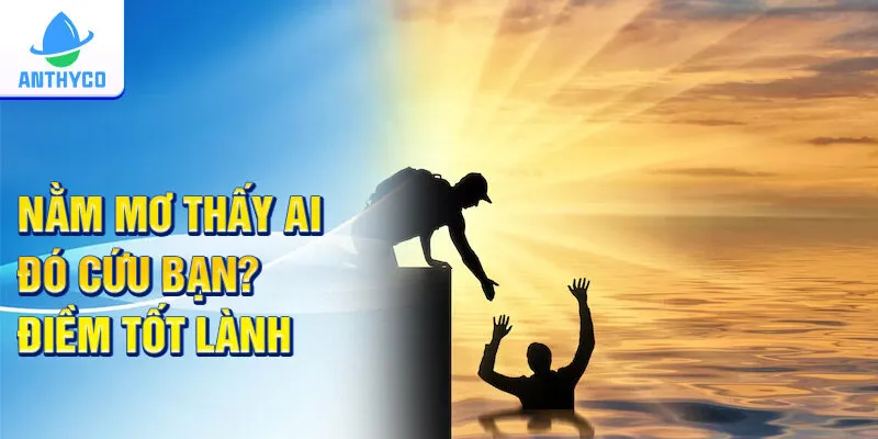 Giải mã giấc mơ thấy bị bắn: Điềm báo và ý nghĩa sâu sắc