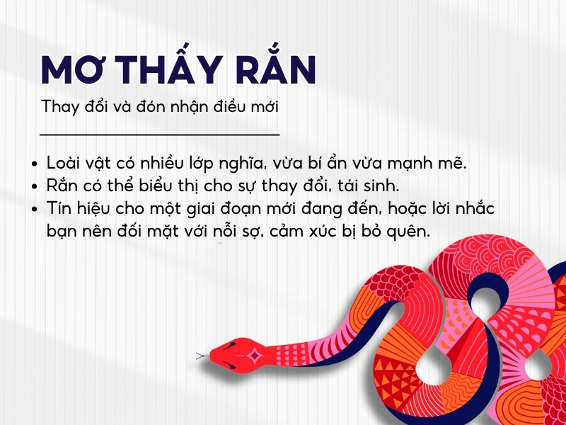 Giải mã giấc mơ không tìm thấy lối ra: Điềm báo và ý nghĩa sâu sắc