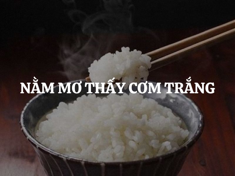 Giải mã chi tiết giấc mơ thấy ăn cơm với các tình huống khác nhau
