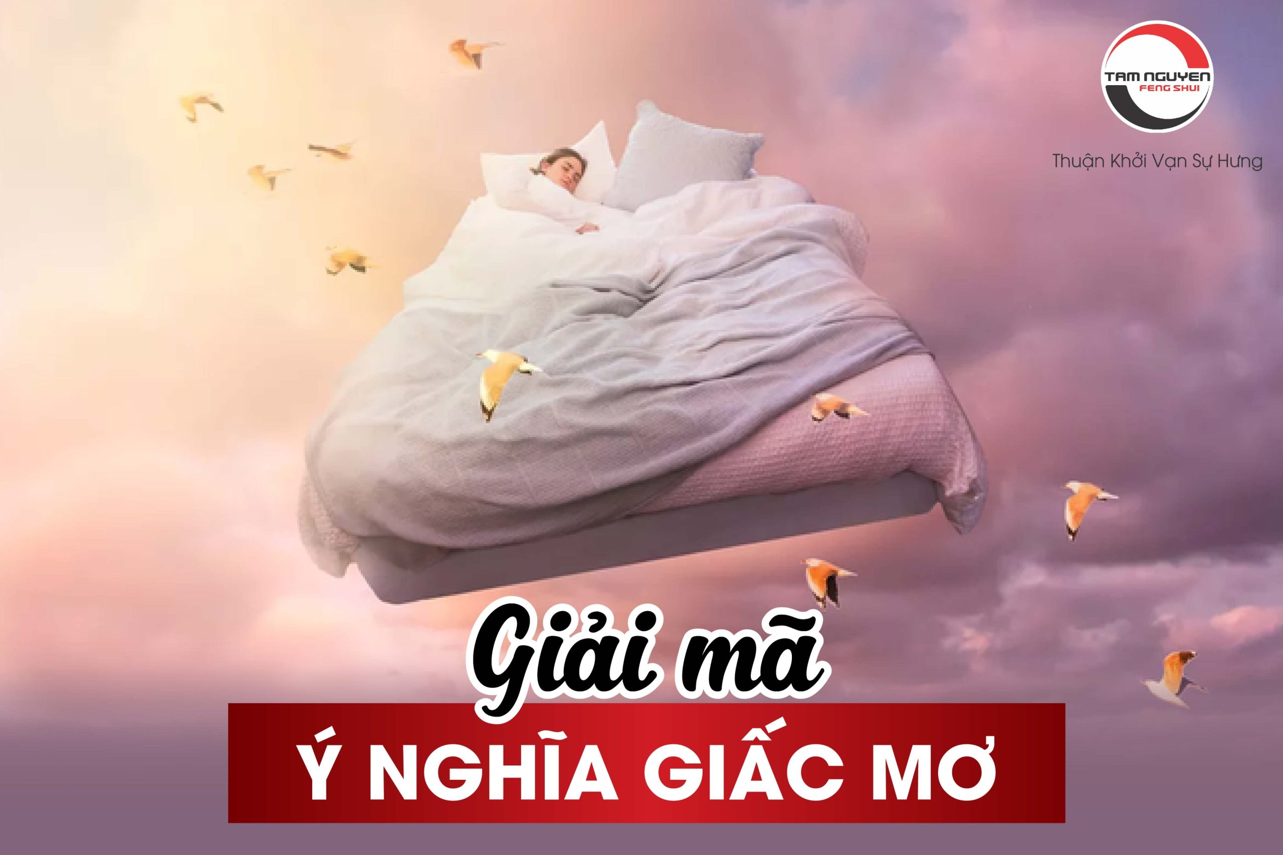 Giải mã giấc mơ thấy bầy sói: Ý nghĩa tâm linh và điềm báo