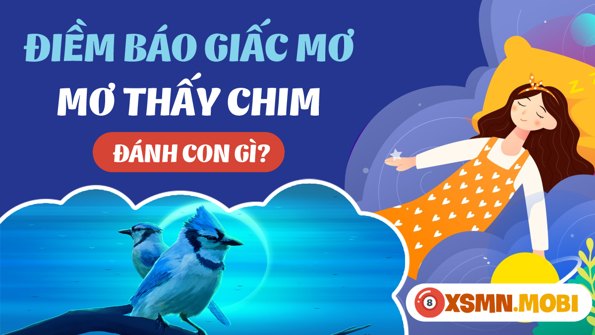 Mơ thấy chim sẻ đánh con gì để trúng lớn? Phân tích số học giấc mơ