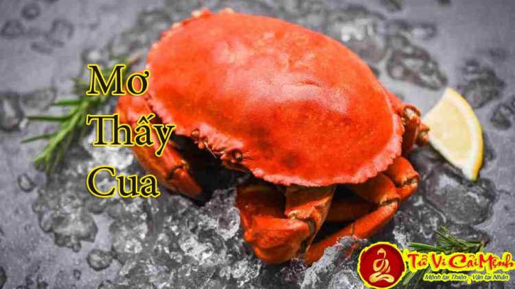 Mơ thấy cua bò vào nhà, cắn người, bắt cua: Giải mã các tình huống cụ thể