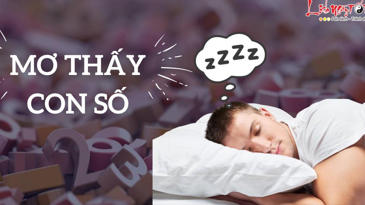 Mơ thấy người lạ đánh con gì theo giới tính và độ tuổi?