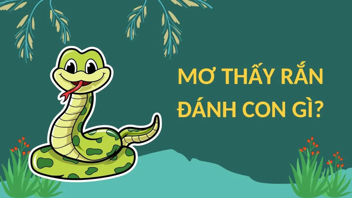 Mơ thấy nhiều rắn đánh con gì để trúng lớn?