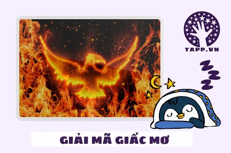 Giải mã giấc mơ thấy phượng hoàng: Ý nghĩa tâm linh và điềm báo