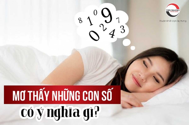Mơ thấy số 16 đánh con gì để trúng lớn?  Theo quan niệm dân gian, mỗi giấc mơ đều liên quan đến những con số may mắn. Tìm hiểu những con số liên quan đến giấc mơ thấy số 16 và cách vận dụng chúng để tăng cơ hội trúng số.