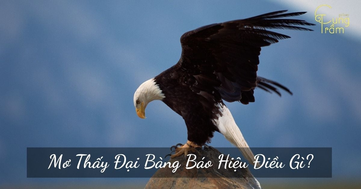 Giải mã giấc mơ thấy thời gian dừng lại: Điềm báo và ý nghĩa sâu sắc