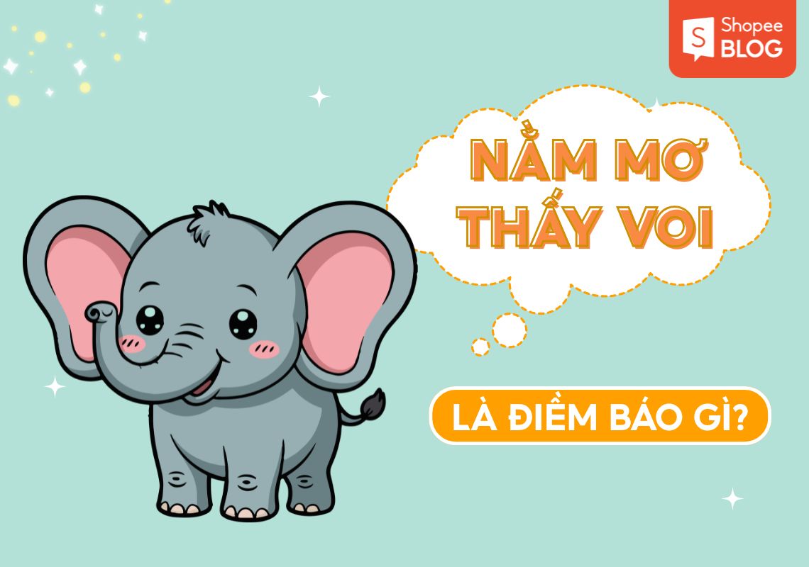 Mơ thấy voi đánh con gì? Gợi ý số may mắn theo từng trường hợp