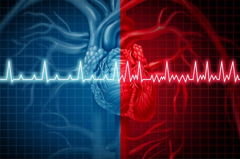 Tim đập mạnh bất thường liên quan đến những con số may mắn nào? Góc nhìn tâm linh